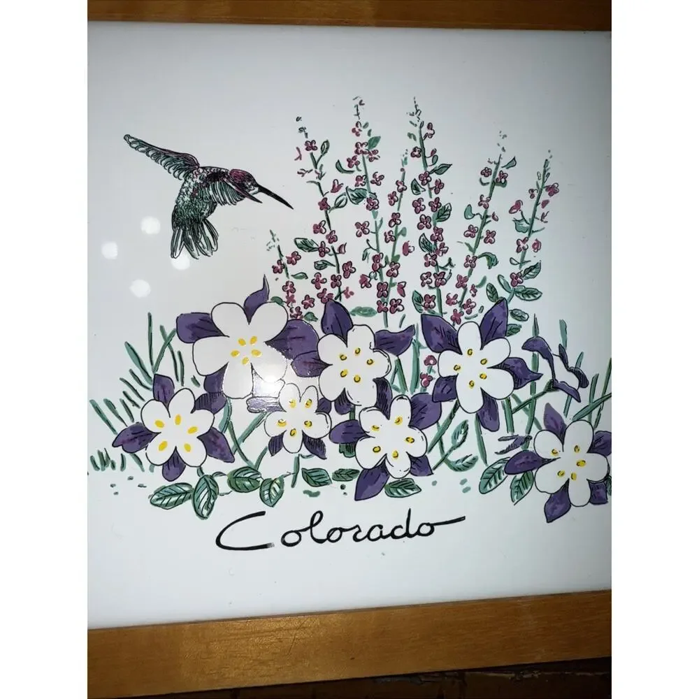 Hand Painted Ceramic Colorado Tile In Wood Frame 7